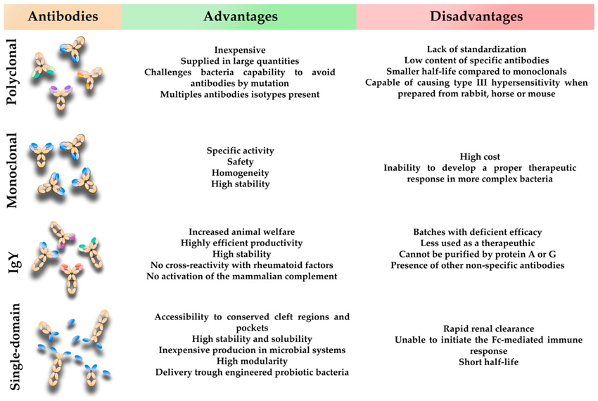 Main advantages and disadvantages of the four types of antibody formats discussed in this work.