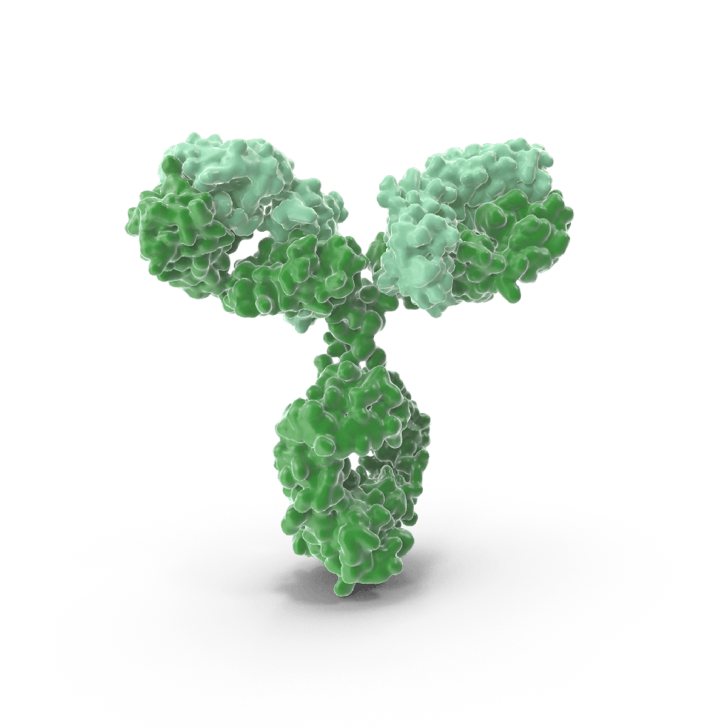Anti-alpha 1 Fetoprotein Mouse Monoclonal Antibody - 100 μL