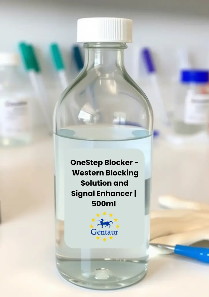 OneStep Blocker - Western Blocking Solution and Signal Enhancer | 500ml 