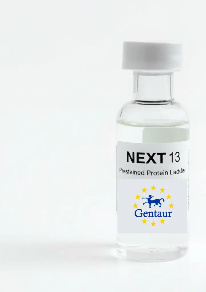 NEXT 13 Prestained Protein Ladder