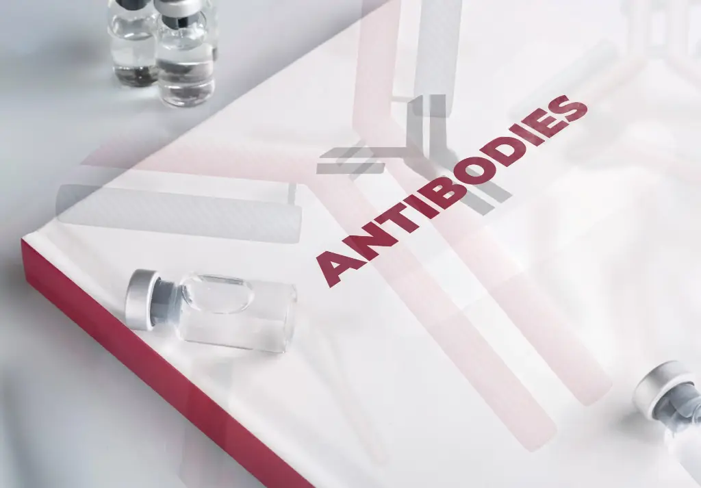 Anti-ZNF285 - Antibody