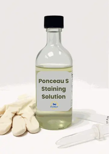 [M0030-B500ML] Ponceau S Protein Staining Solution