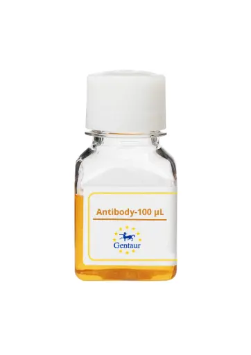 [PA005919GA01HU-100 µL] CPSF4 Antibody