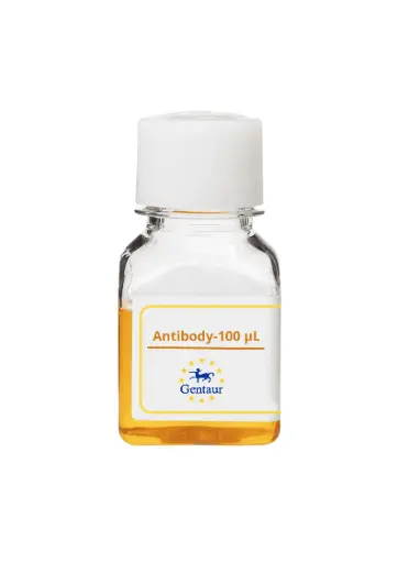 [PA005985GA01HU-100 µL] CRLS1 Antibody