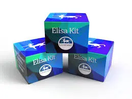 [879-KBH2898] GENLISA™ Human Clarin 1 (CLRN1) ELISA 