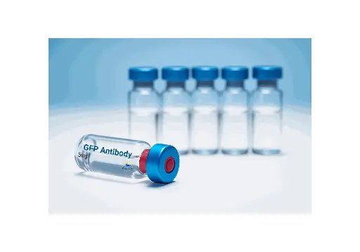 [GEN - ANTP359-5ug] GFP Antibody