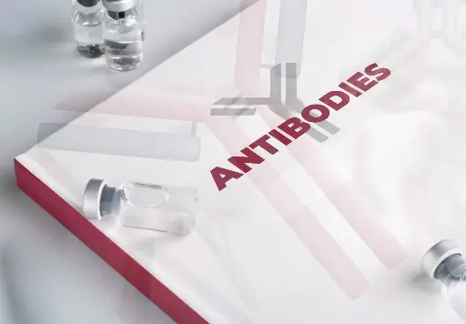 [AB-1288] Anti-ABCD4 - Antibody