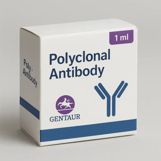 [anti25sk5242] anti-MAPRE2 antibody